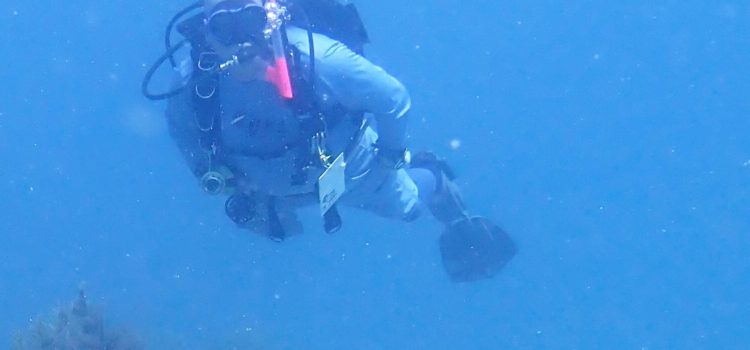 Scuba Buoyancy Training Saves Reefs