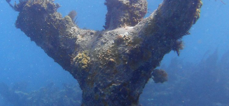 Key Largo Christ Statue Shallow Dive