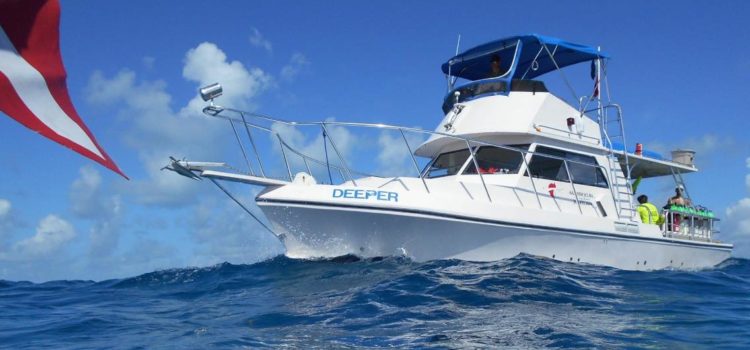 Dive DEEPER Key Largo Sail Fish Scuba Custom Built Dive Boat