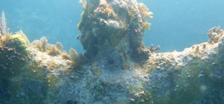 Snorkel Key Largo Christ Statue Dry Rocks