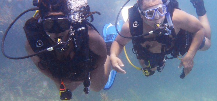 Scuba Dive Training Fun Key Largo Florida