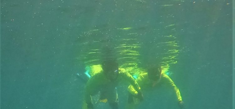 Non-swimmers Snorkeling Key Largo Private Guided