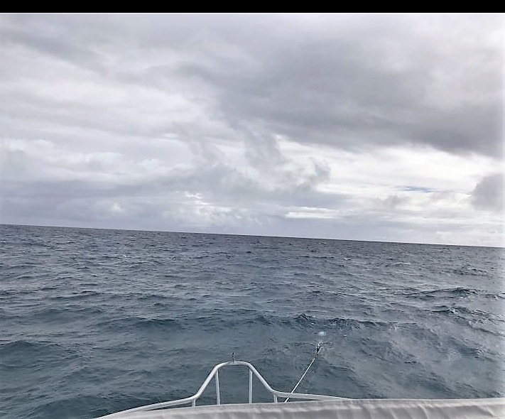 Florida Keys Big Seas Windy Day Diving