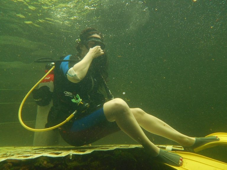 Shore Diving Saves Vacations In Key Largo Florida