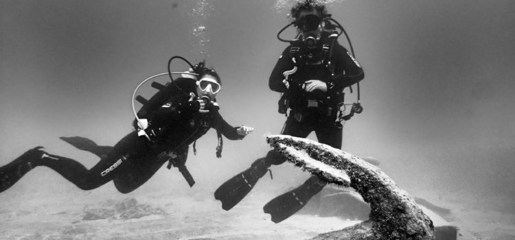 Scheduling Florida Scuba Diving, When Is Best
