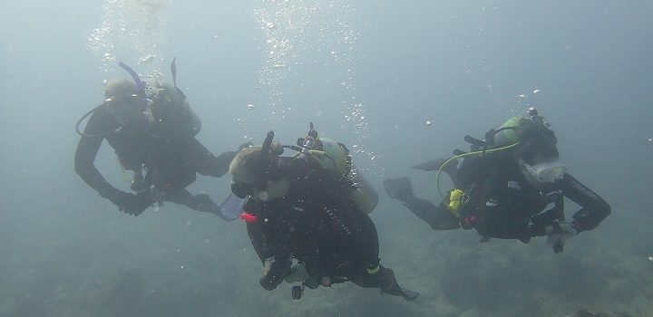 Ultimate Scuba Services Provided In Key Largo