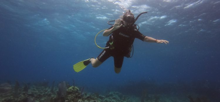 Personalized Small Group Scuba Tours In Key Largo Florida
