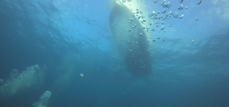 Scuba Dive Report September 29 through 4 October