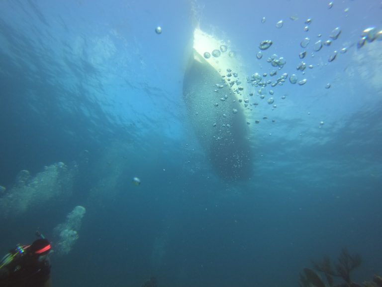 Scuba Dive Report September 29 through 4 October