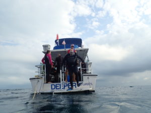 Florida Keys December 15 through 31 Dive Report 
