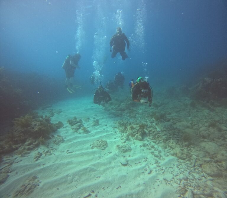 2023 January Dive Images Key Largo