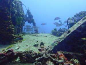 2024 MAY Key Largo Dive Report 